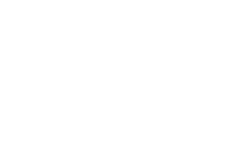 The Luxury Closet